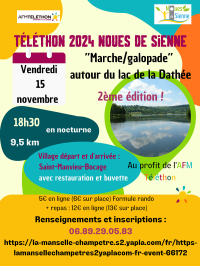 Téléthon 2024 : "marche / galopade" en nocturne autour de la Dathée 