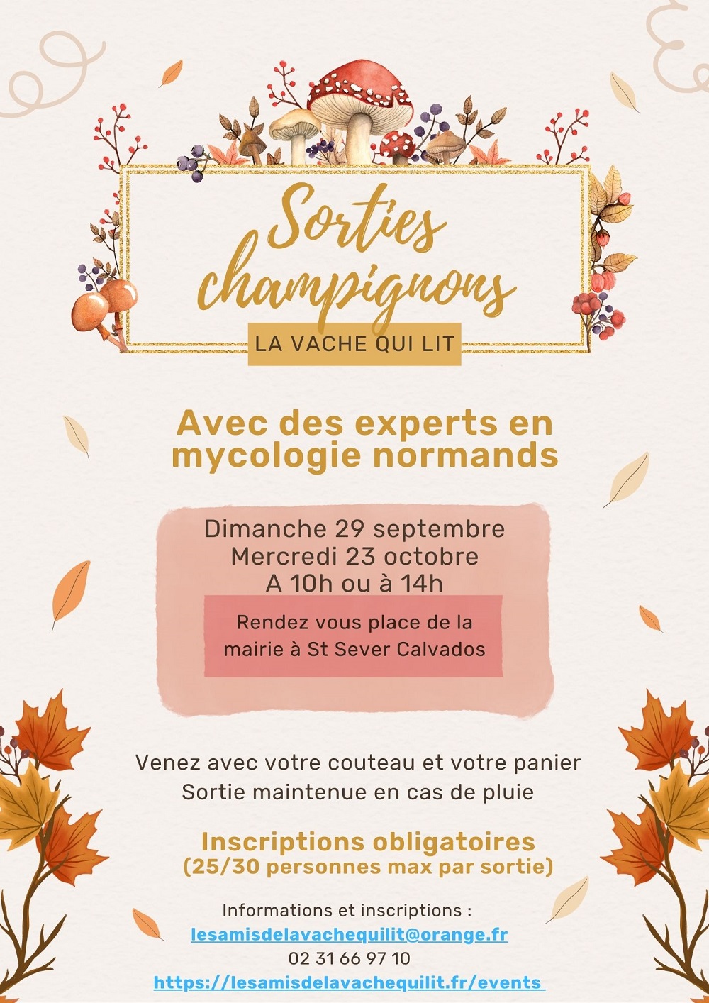 Sorties champignons 2024